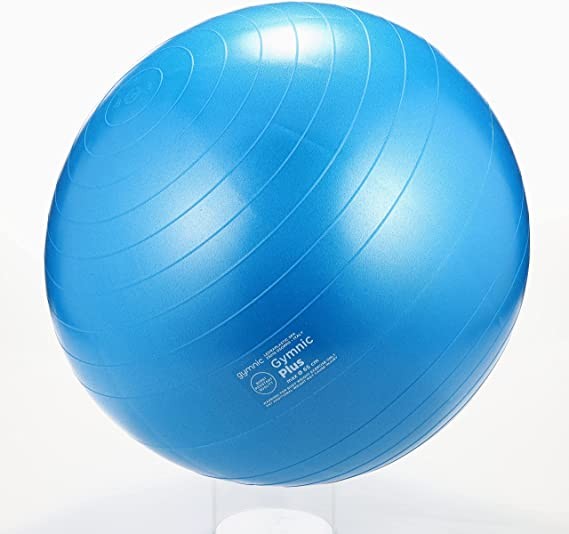 Gymnic Jim niku plus (plus) Italian production