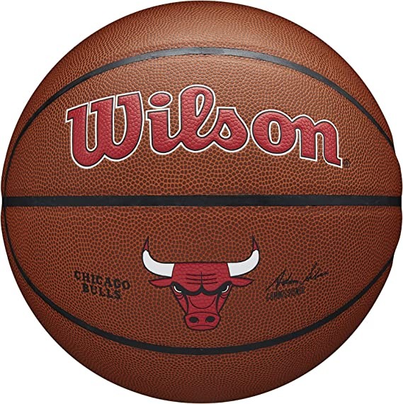 Basketball team Wilson NBA