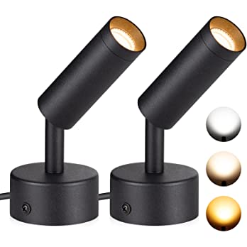          SUNVIE 2 Pack LED Spot Lights Indoor 3000K/4000K/5000K Adjustable Up Lights Indoor 3W Dimmable Floor Spotlight Lamp for Plants Decor 120V Uplighting Indoor for Pictures Artwork Wall Accent Li